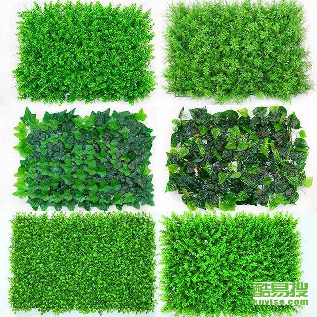 植物种植工厂价格 06ee03014aa7a68a120fe65dd9683e6b.jpg