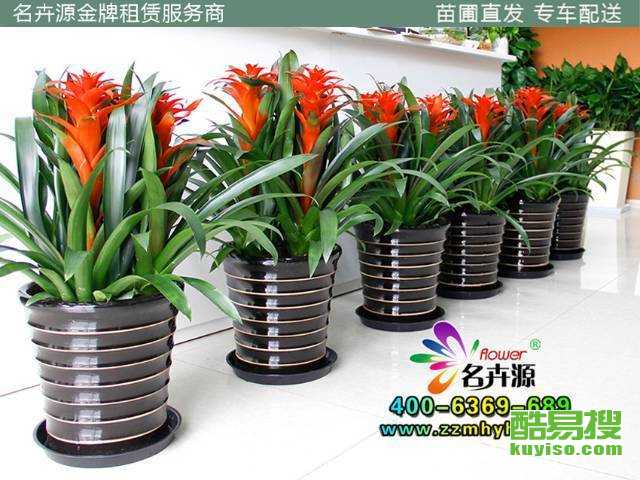 e5d6109a0beef84d3ae5b818bcd2b53e.jpg