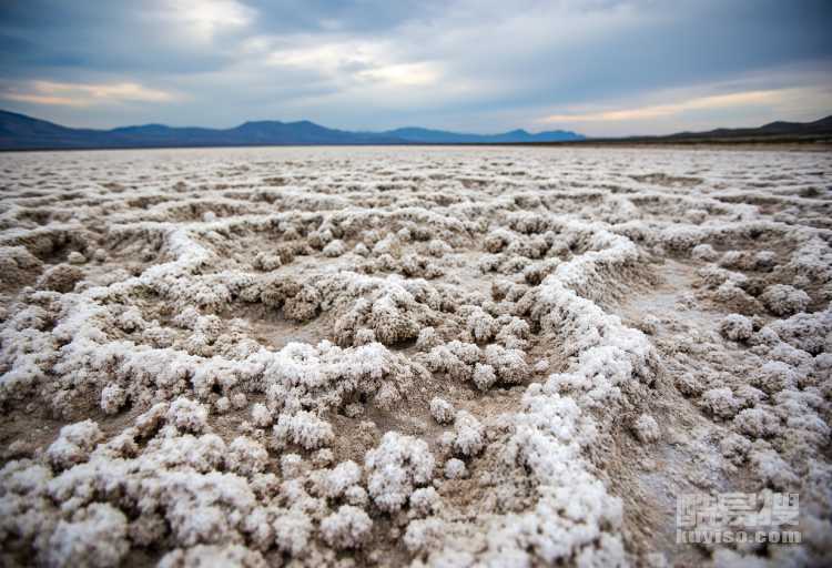 花土含鹽多怎么辦？